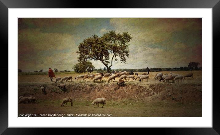 The Goat herder Framed Mounted Print by Horace Goodenough