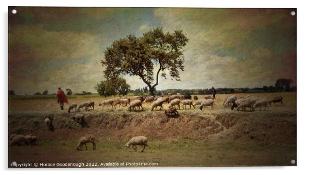 The Goat herder Acrylic by Horace Goodenough