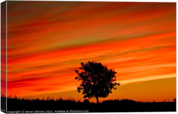 Tree silhouette at sunrise Canvas Print by Simon Johnson