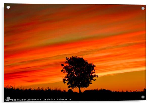 Tree silhouette at sunrise Acrylic by Simon Johnson
