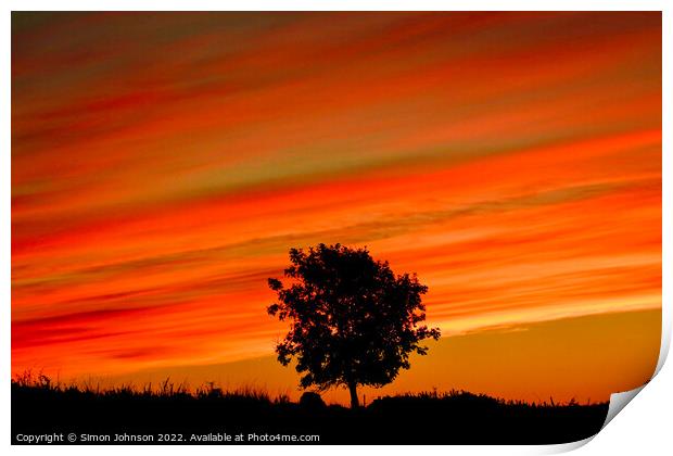 Tree silhouette at sunrise Print by Simon Johnson