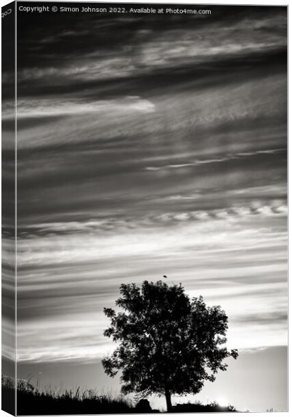 Tree silhouette and cloudscape Canvas Print by Simon Johnson