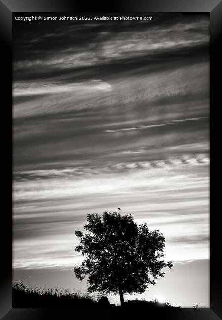 Tree silhouette and cloudscape Framed Print by Simon Johnson