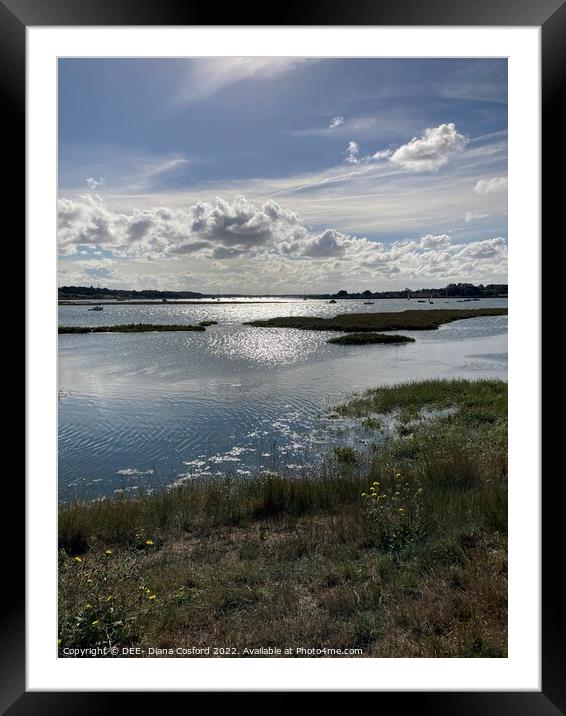 Towards Kyson Point, River Deben, Woodbridge Framed Mounted Print by DEE- Diana Cosford