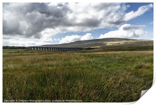 Ribblehead Viaduct Print by DiFigiano Photography