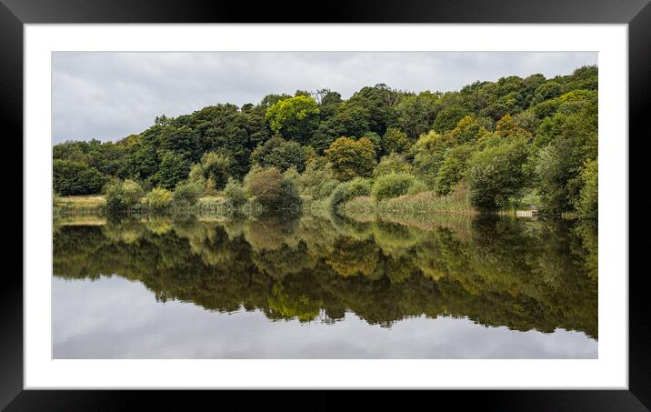 Reflections in a lake Framed Mounted Print by Jason Wells