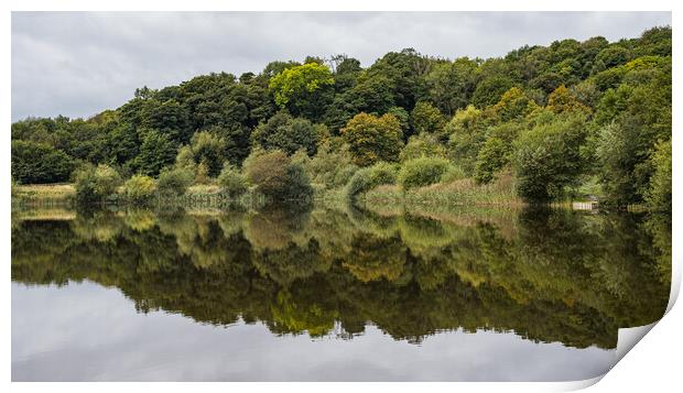 Reflections in a lake Print by Jason Wells