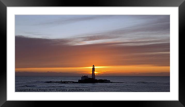 St Mary’s Lighthouse Sunrise Framed Mounted Print by David Pringle