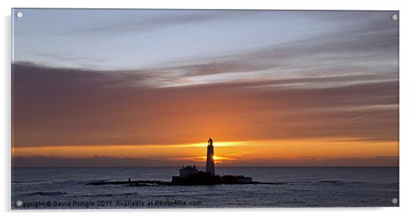 St Mary’s Lighthouse Sunrise Acrylic by David Pringle
