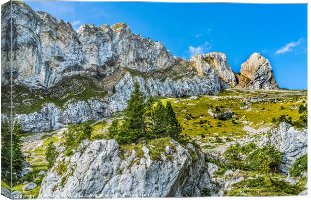 Rock Cliffs Pastures Climbing Mount Pilatus Lucerne Switzerland Canvas Print by William Perry