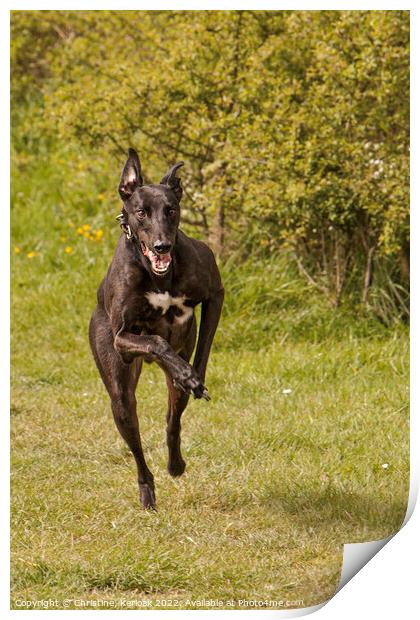 Fast Running Greyhound Print by Christine Kerioak