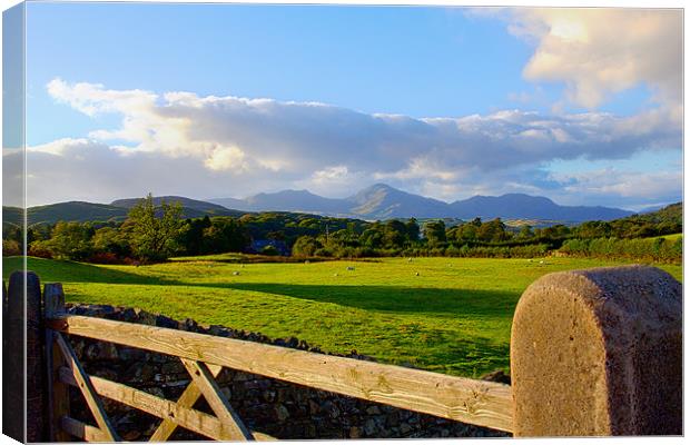 Lake District view near Coniston Canvas Print by Rick Parrott