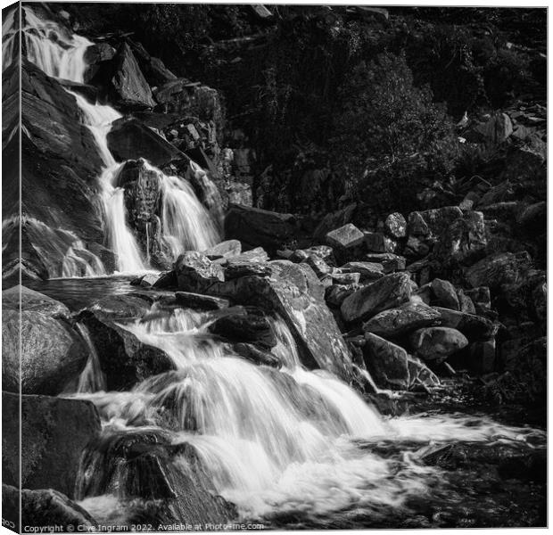 Welsh mountain stream Canvas Print by Clive Ingram