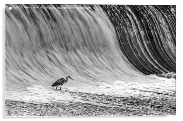 Heron On Weir Acrylic by John-paul Phillippe