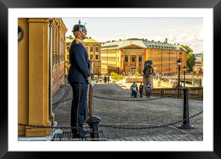 Stockholms Royal Palace Guard Framed Mounted Print by Antony McAulay