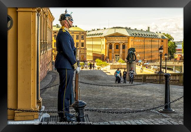 Stockholms Royal Palace Guard Framed Print by Antony McAulay