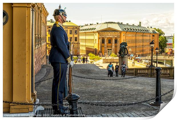 Stockholms Royal Palace Guard Print by Antony McAulay