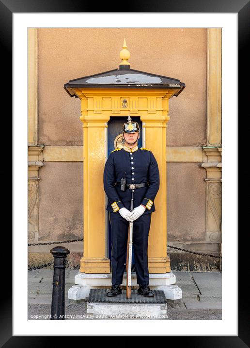 Stockholms Royal Palace Sentry Guard Framed Mounted Print by Antony McAulay