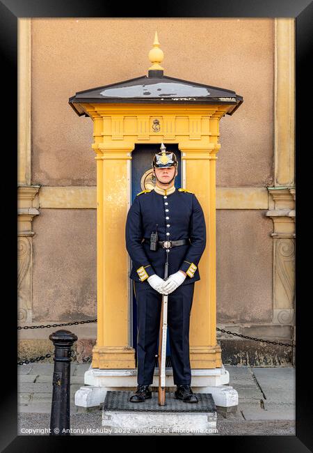 Stockholms Royal Palace Sentry Guard Framed Print by Antony McAulay
