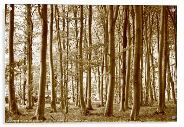 woodland Sepia Acrylic by Simon Johnson