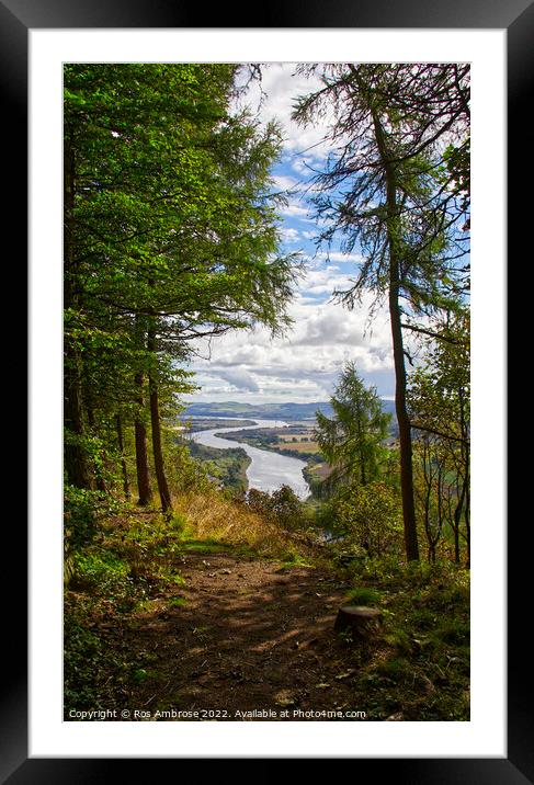 Kinnoull Hill Looking Down on The Tay Framed Mounted Print by Ros Ambrose