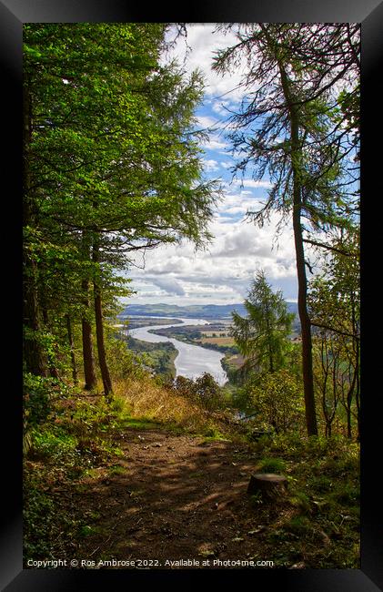 Kinnoull Hill Looking Down on The Tay Framed Print by Ros Ambrose