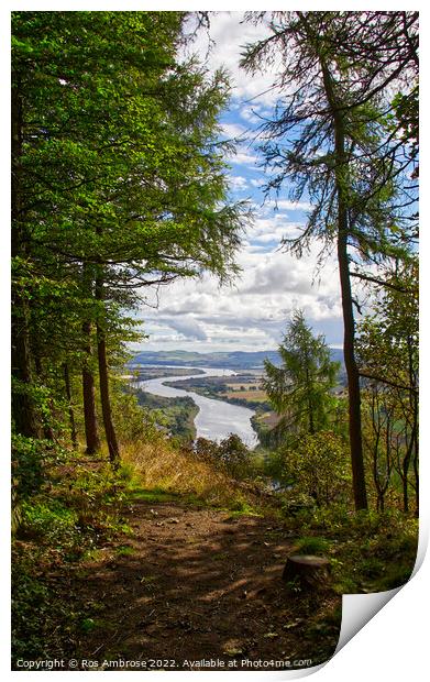 Kinnoull Hill Looking Down on The Tay Print by Ros Ambrose