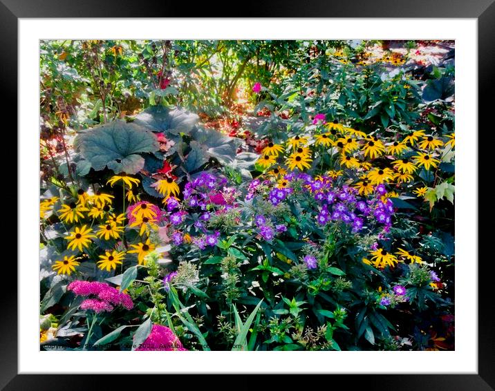 Beautiful fall flowers Framed Mounted Print by Stephanie Moore