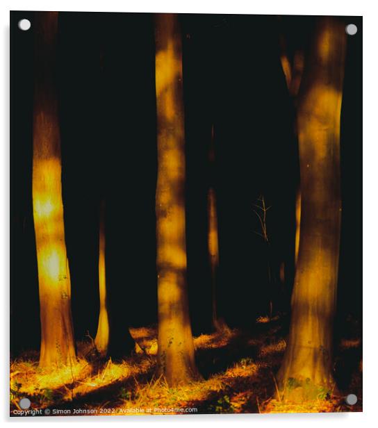 woodland light Acrylic by Simon Johnson