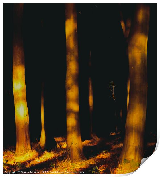 woodland light Print by Simon Johnson
