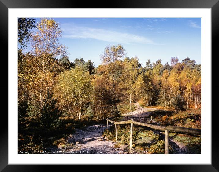 Frensham Common in Autumn Surrey Framed Mounted Print by Pearl Bucknall