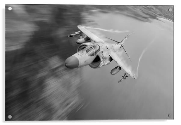 Sea Harrier Acrylic by J Biggadike