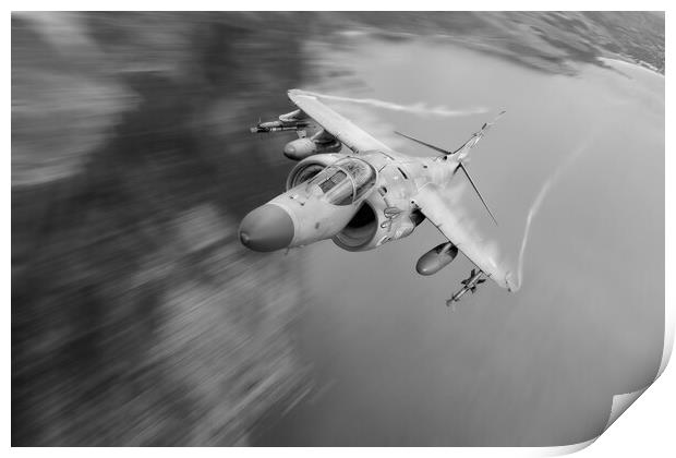 Sea Harrier Print by J Biggadike
