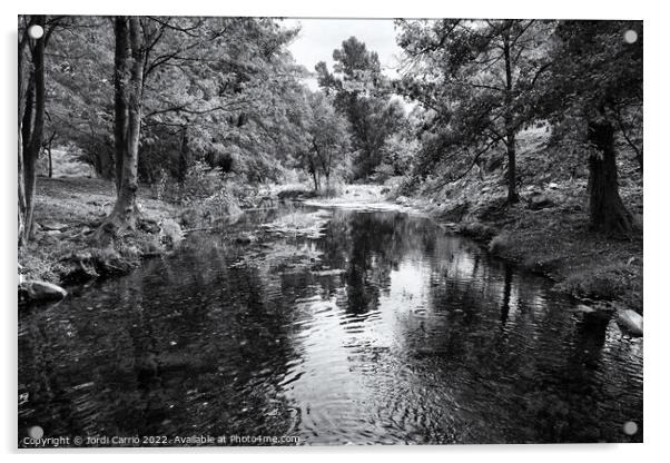 Panoramic view of the Llémena River - Black and White Edition Acrylic by Jordi Carrio