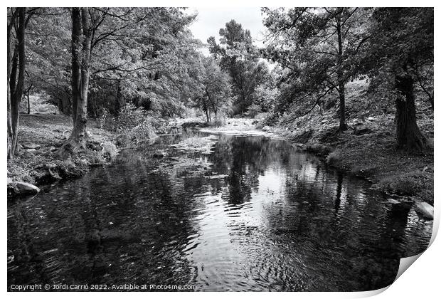 Panoramic view of the Llémena River - Black and White Edition Print by Jordi Carrio