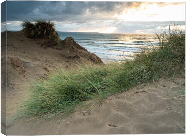 North Devon sand dunes Canvas Print by Tony Twyman