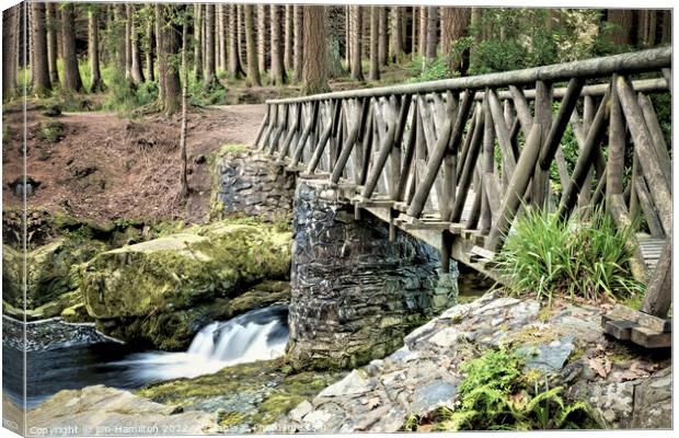 Tollymore Forest Park Canvas Print by jim Hamilton