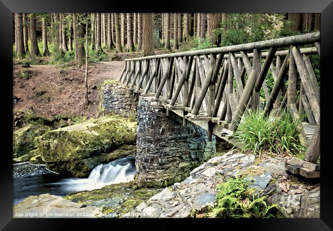 Tollymore Forest Park Framed Print by jim Hamilton