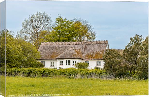 old cottage with thatched roof Canvas Print by Stig Alenäs