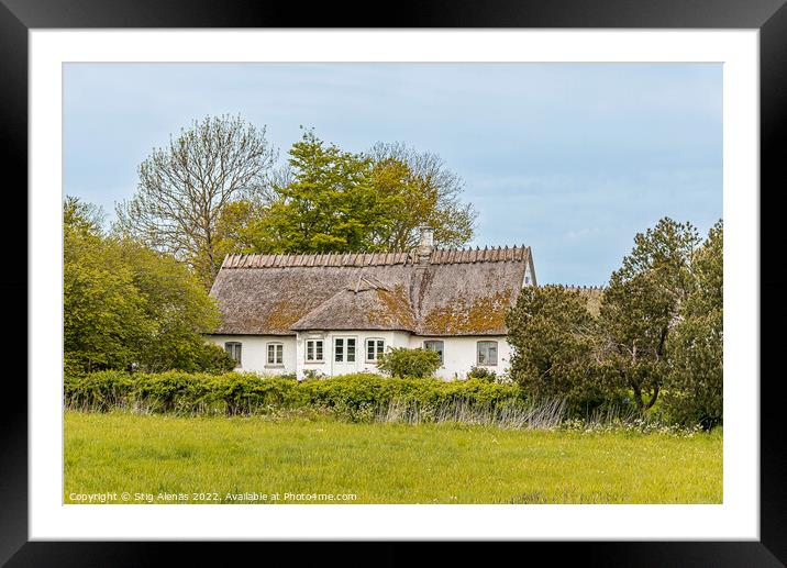 old cottage with thatched roof Framed Mounted Print by Stig Alenäs