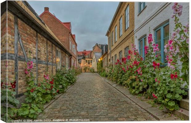 old cobblestone alleyway with half timbered houses and red holly Canvas Print by Stig Alenäs