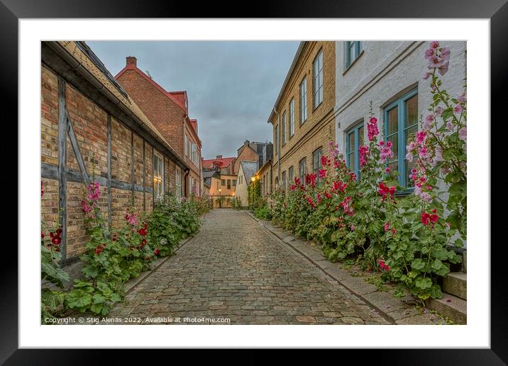 old cobblestone alleyway with half timbered houses and red holly Framed Mounted Print by Stig Alenäs