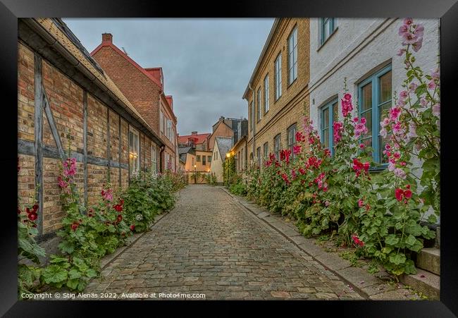 old cobblestone alleyway with half timbered houses and red holly Framed Print by Stig Alenäs