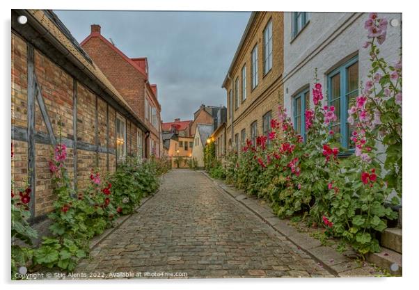 old cobblestone alleyway with half timbered houses and red holly Acrylic by Stig Alenäs