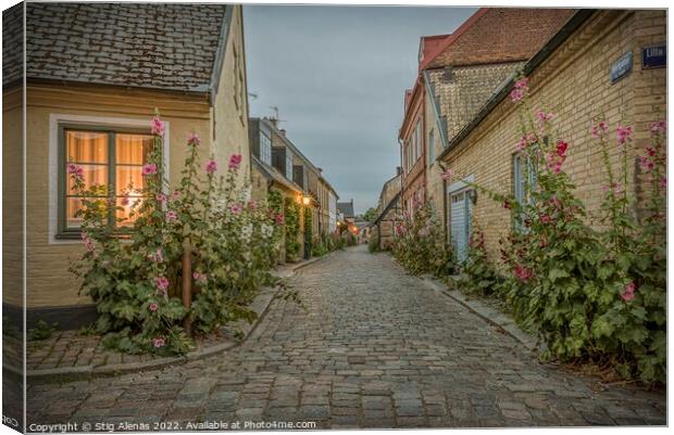 Hjortgatan in the old town of Lund is an idyllic lane with holly Canvas Print by Stig Alenäs
