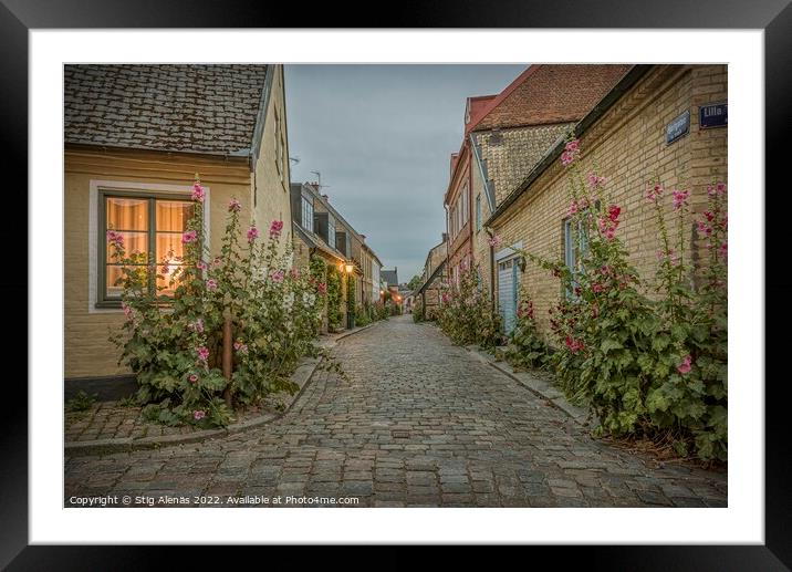 Hjortgatan in the old town of Lund is an idyllic lane with holly Framed Mounted Print by Stig Alenäs