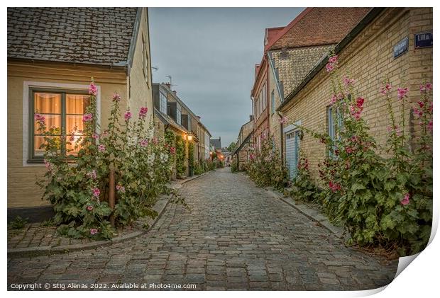 Hjortgatan in the old town of Lund is an idyllic lane with holly Print by Stig Alenäs