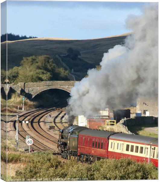 Britannia at Blea Moor Canvas Print by Andrew Bell