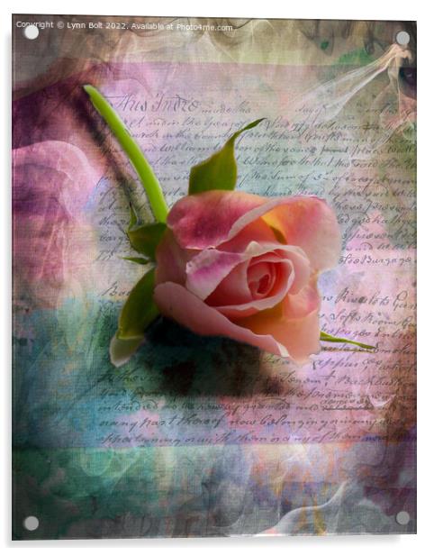 Pink Rose Acrylic by Lynn Bolt