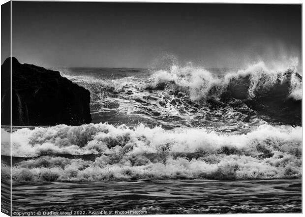 Majestic Monochrome Waves Canvas Print by Dudley Wood